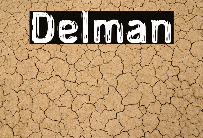 Delman Example 1