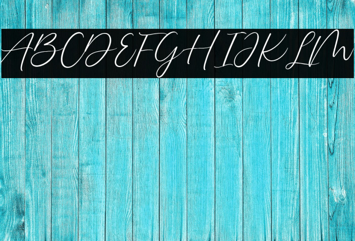 Delmon Delicate Script Example 2