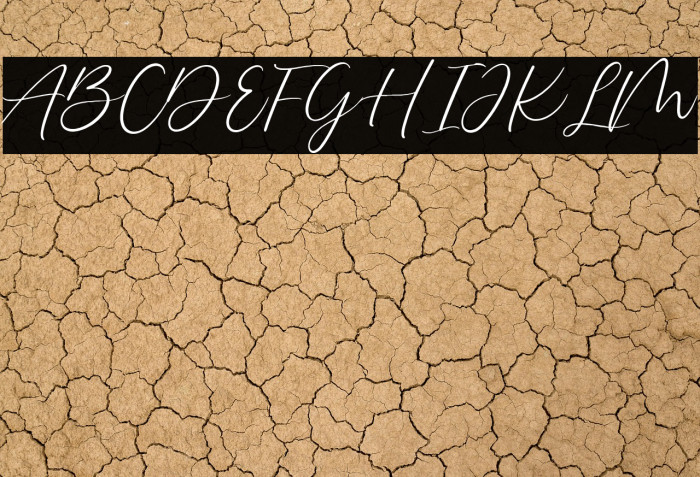 Delmon Delicate Script Example 3