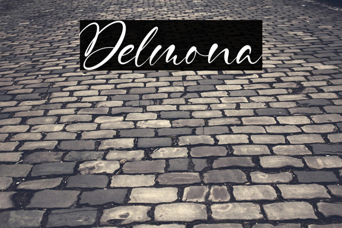 Delmona Example 1