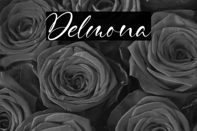 Delmona Example 3