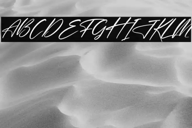 Delmonte Hunters Italic Font examples