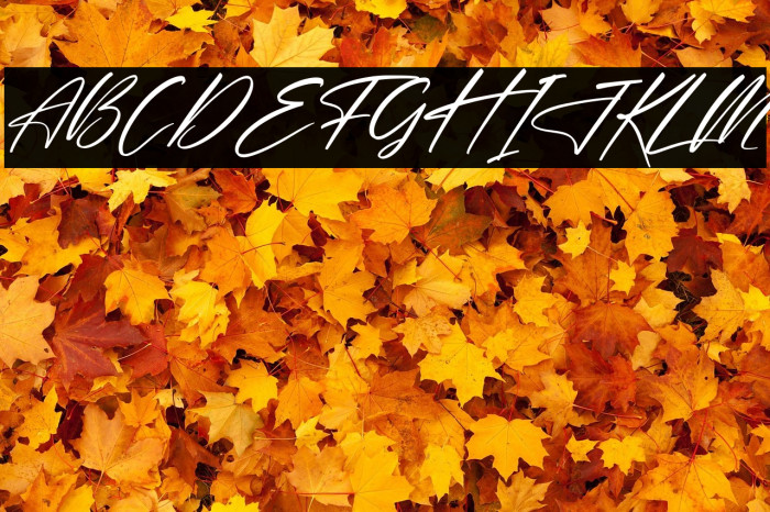 Delmonte Hunters Italic Example 2