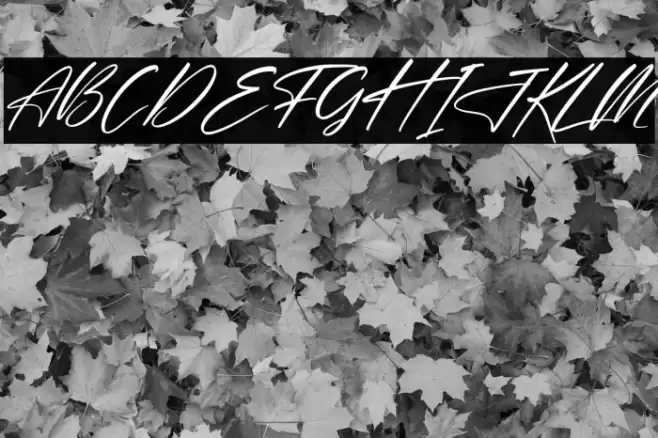 Delmonte Hunters Italic Font examples