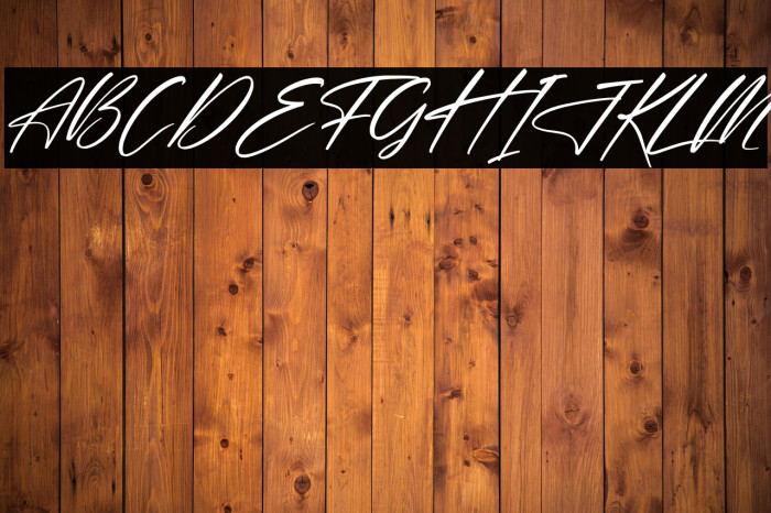 Delmonte Hunters Italic Example 3