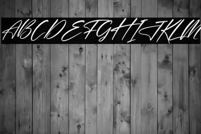 Delmonte Hunters Italic Font examples