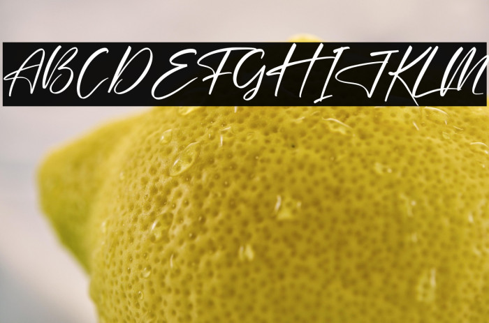 Delmonte Hunters Example 1