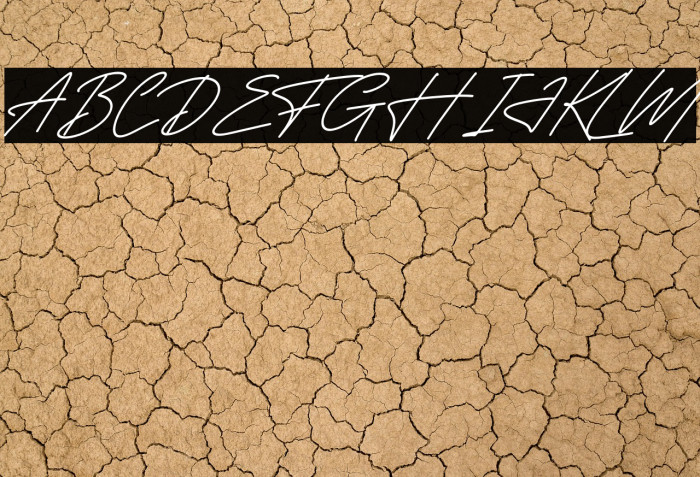 Delmonteria Fidmonte Italic Example 3