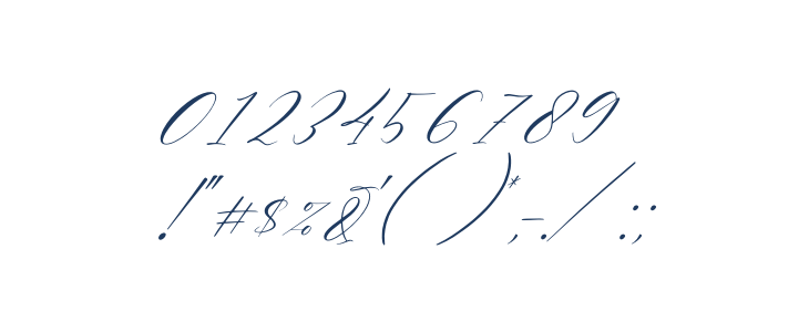 Delmore Italic Other Characters