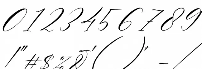 Delmore Italic Font OTHER CHARS