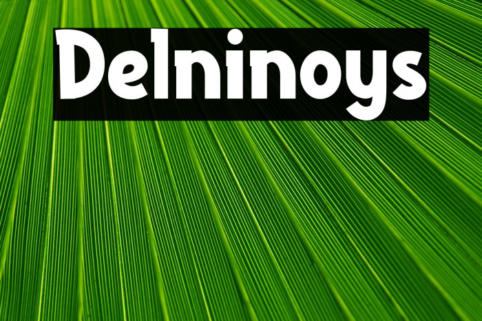 Delninoys Example 1