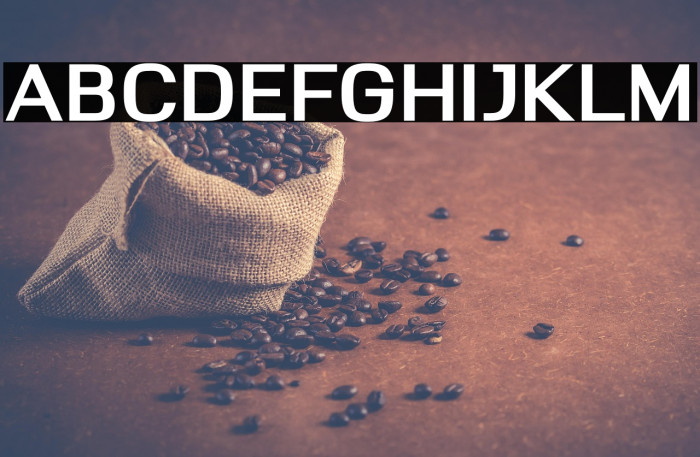 Deloire Bold Example 2