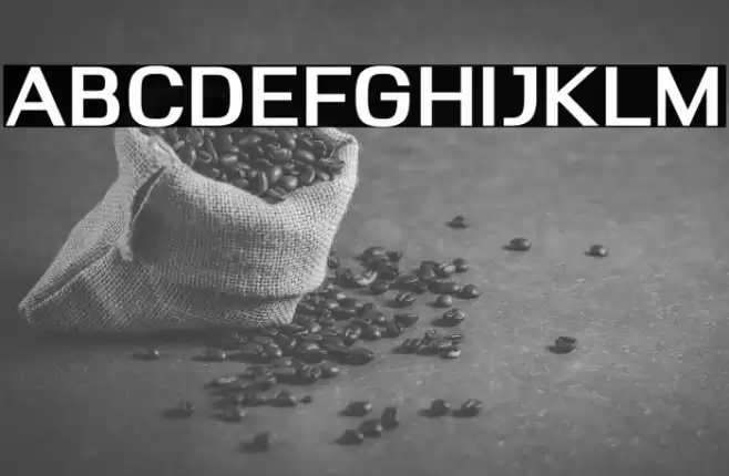 Deloire Bold Font examples