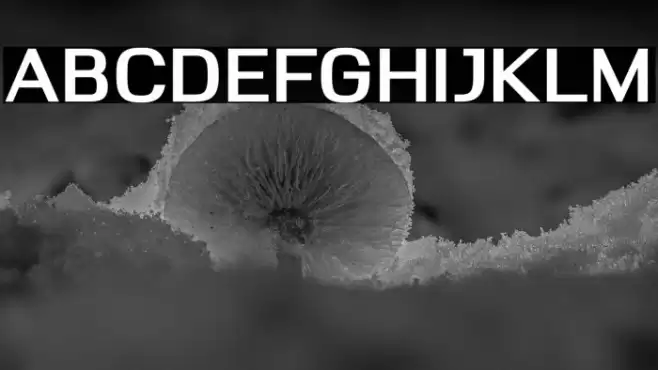 Deloire Bold Font examples