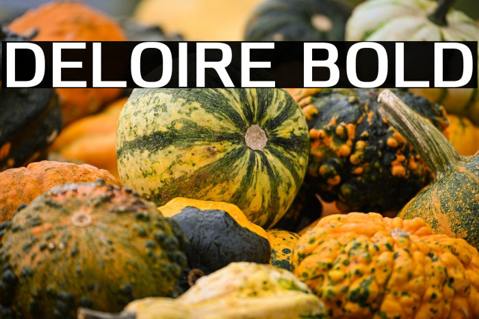Deloire Bold Example 1