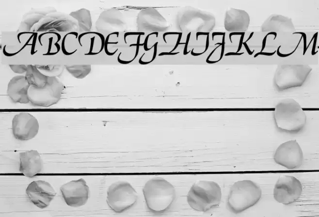 Deloise Font examples