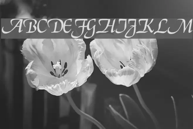 Deloise Font examples