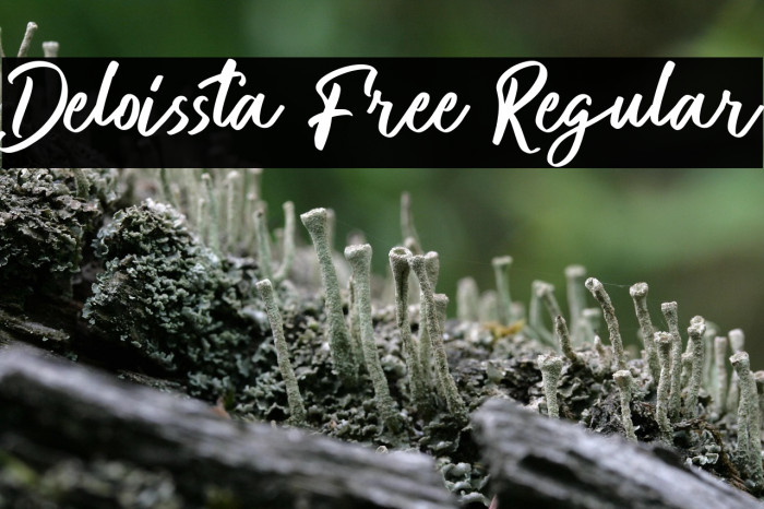 Deloissta Free Regular Example 2