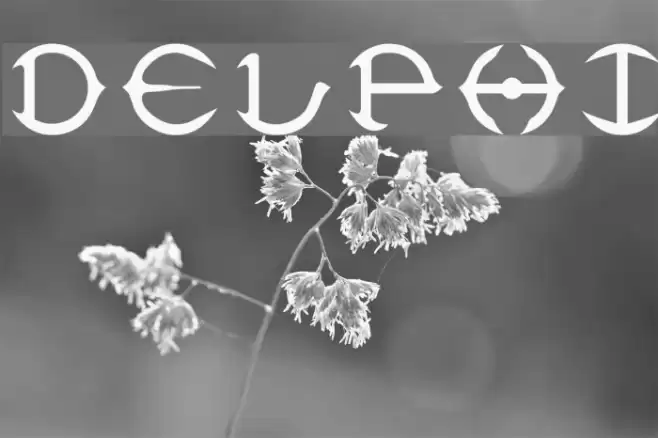 Delphi Font examples