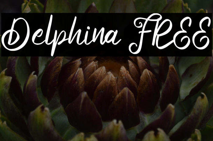 Delphina FREE Example 3