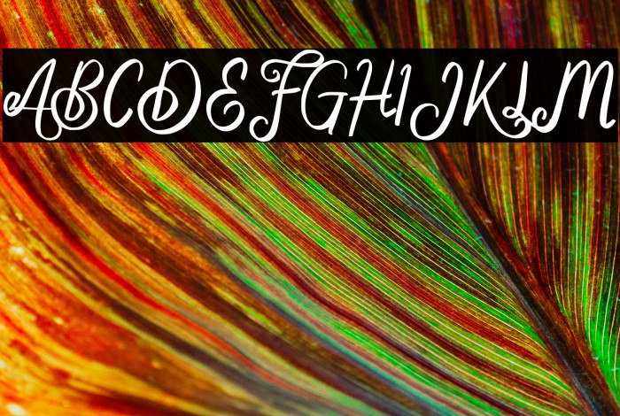 DelphinaFREE Example 2