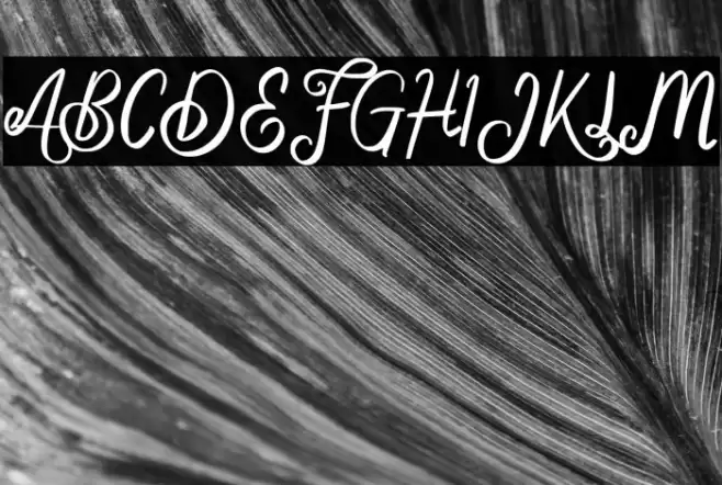 DelphinaFREE Font examples