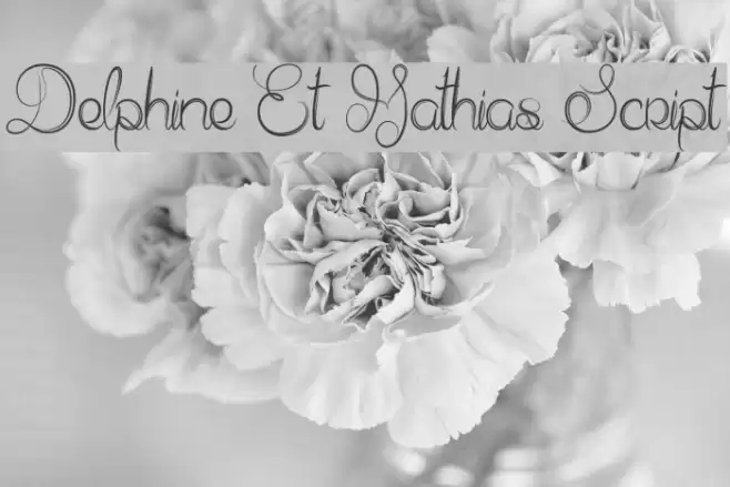 Delphine Et Mathias Script Font examples