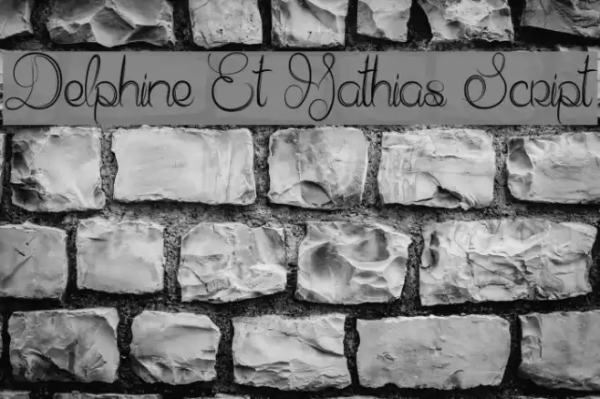 Delphine Et Mathias Script Font examples