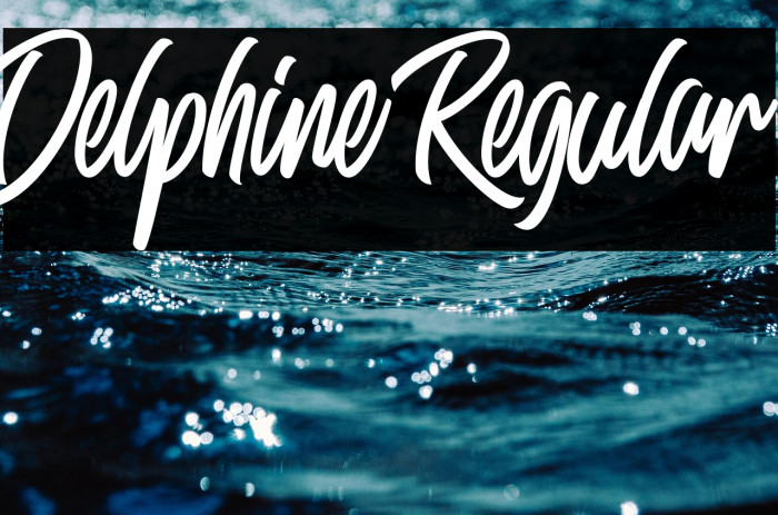 Delphine Regular Example 1