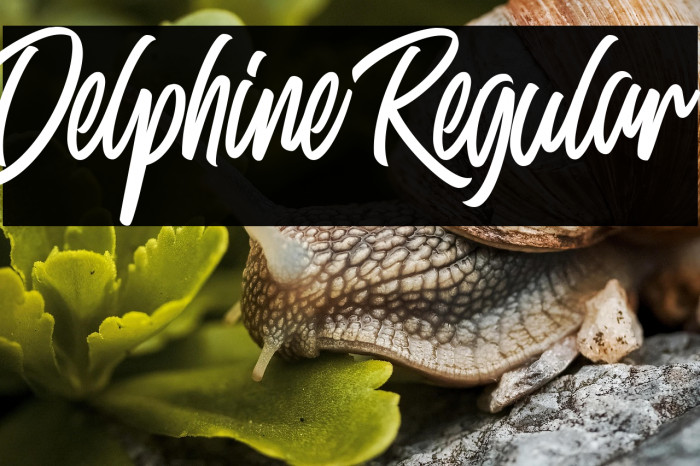 Delphine Regular Example 2