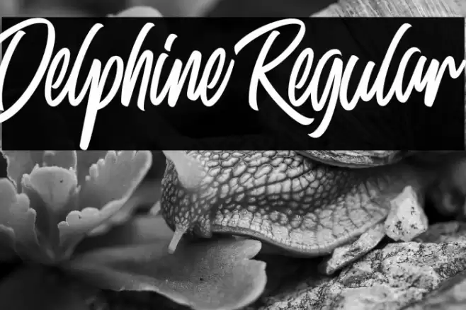 Delphine Regular Fonte examples