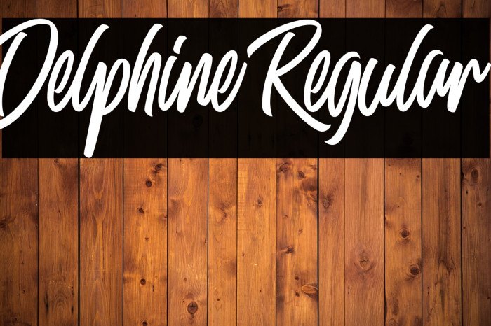 Delphine Regular Example 3