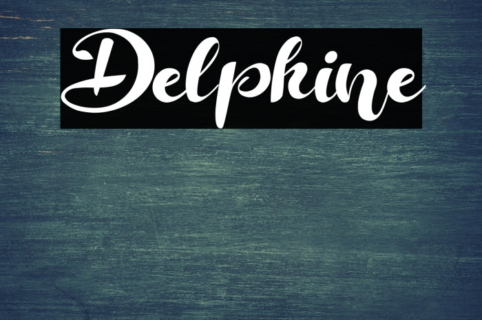 Delphine Example 1