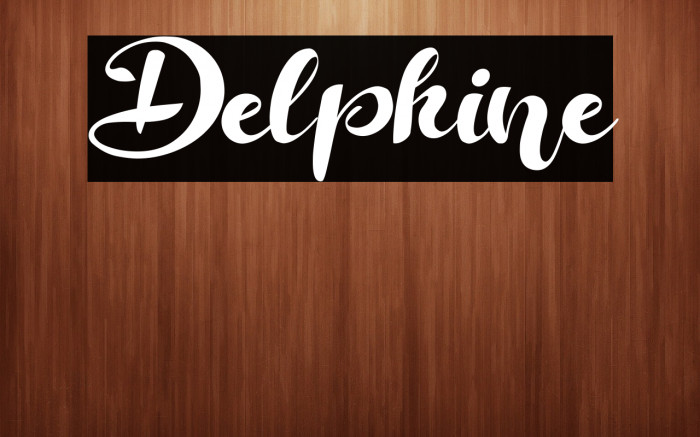 Delphine Example 3