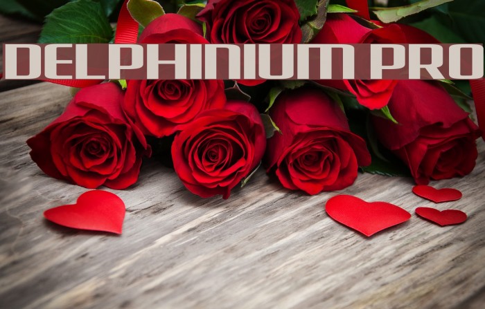 Delphinium Pro Example 1