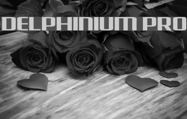 Delphinium Pro Font examples