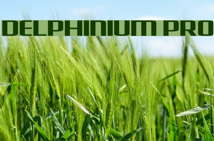 Delphinium Pro Example 2