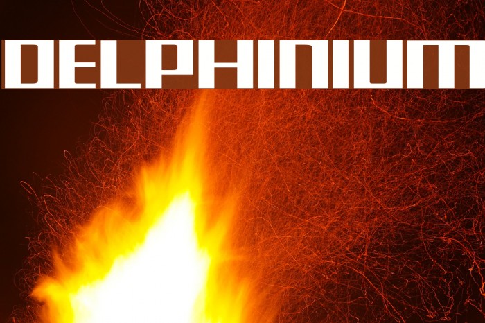 Delphinium Font examples