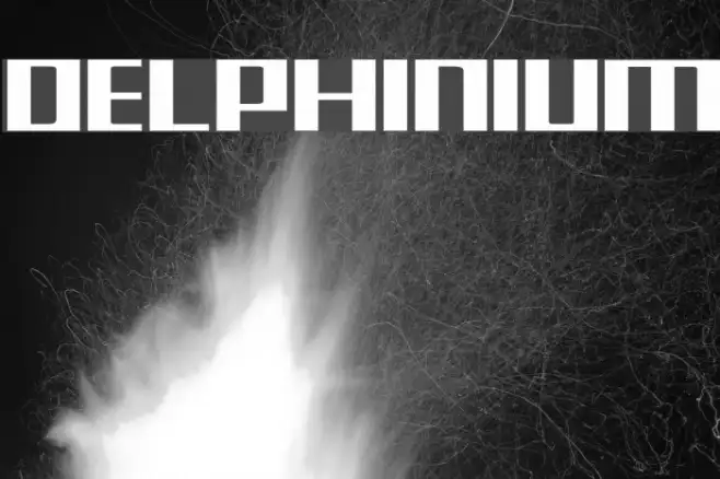 Delphinium Example 1