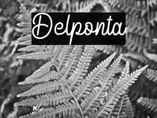 Delponta Font examples