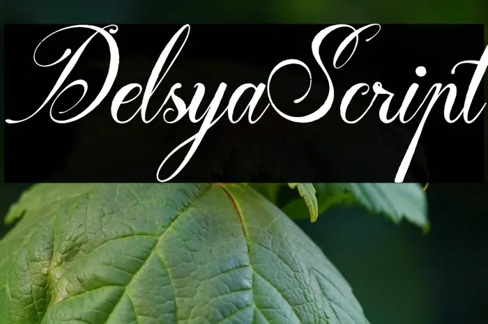 Delsya Script Example 1