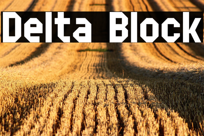 Delta Block Example 3