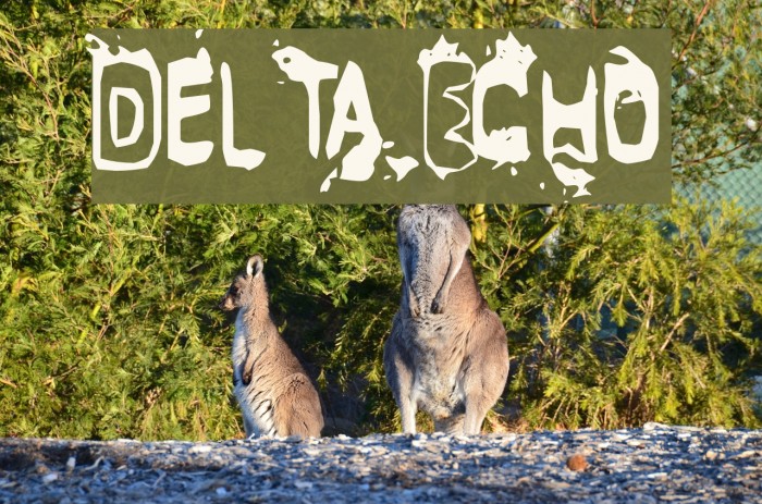 Delta Echo Font examples