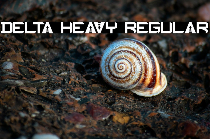 Delta Heavy Regular Example 1