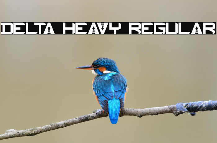 Delta Heavy Regular Example 2