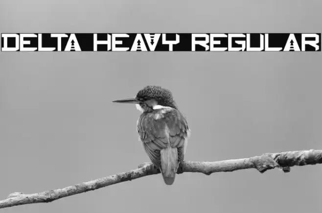 Delta Heavy Regular Example 2