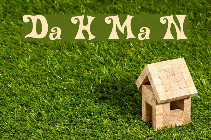 Delta Hey Max Nine Font examples