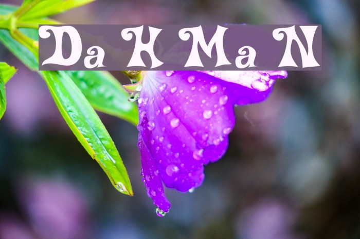 Delta Hey Max Nine Font examples