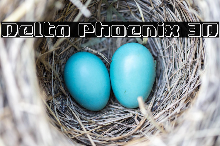 Delta Phoenix 3D Example 1