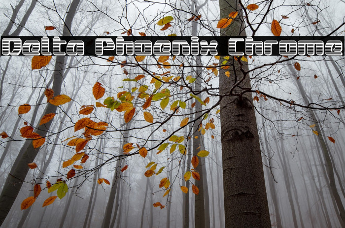 Delta Phoenix Chrome Example 3